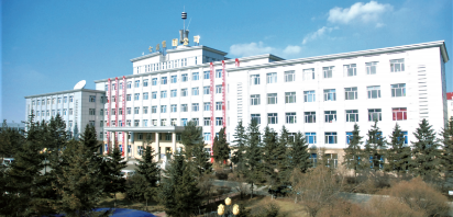 七臺(tái)河礦業(yè)公司